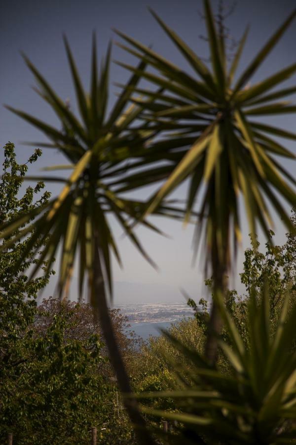 Sentiero Di Costiera Bed and Breakfast Vietri Εξωτερικό φωτογραφία